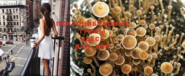МДМА Вязьма