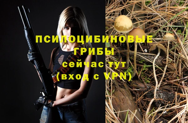 синтетический гашиш Вяземский
