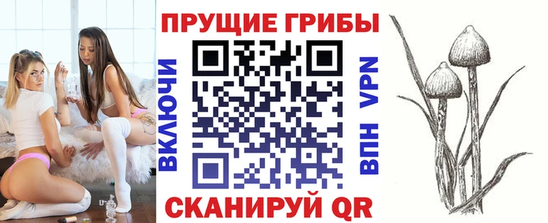 Галлюциногенные грибы Cubensis  где продают наркотики  Грязи 